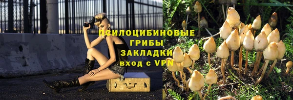 круглые Алзамай