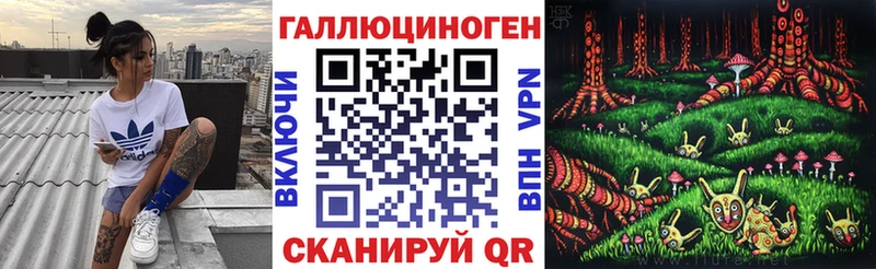 Псилоцибиновые грибы мицелий Владивосток